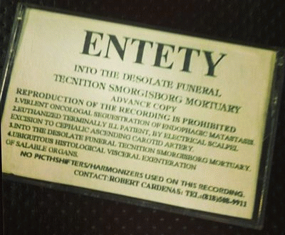 Entety : Into the Desolate